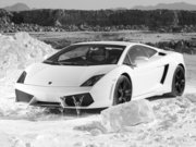 Chalk Farm Cars Rentals