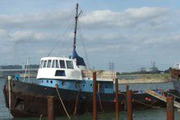 Designer Tug for sale