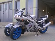 Tilting trike Irs1000