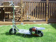 50cc kids  petrol scooter